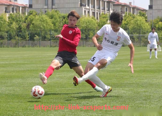 杏彩体育-西甲联赛有20支球队吗：西甲球队数量常态解读