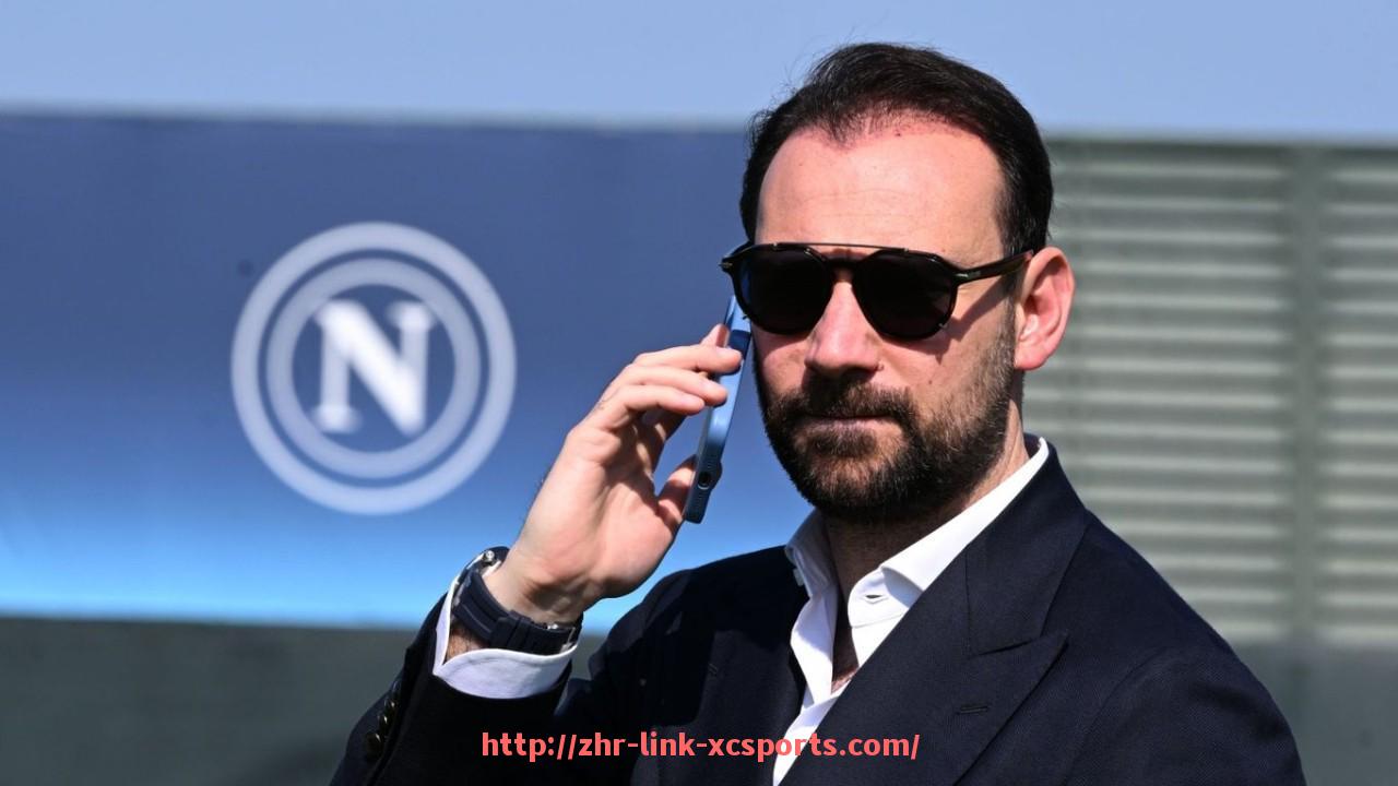 杏彩体育-法甲外援球员表现综合分析：适应力与贡献度评估