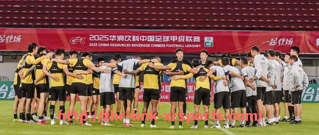 杏彩体育-国内主流平台西甲直播服务及收看攻略